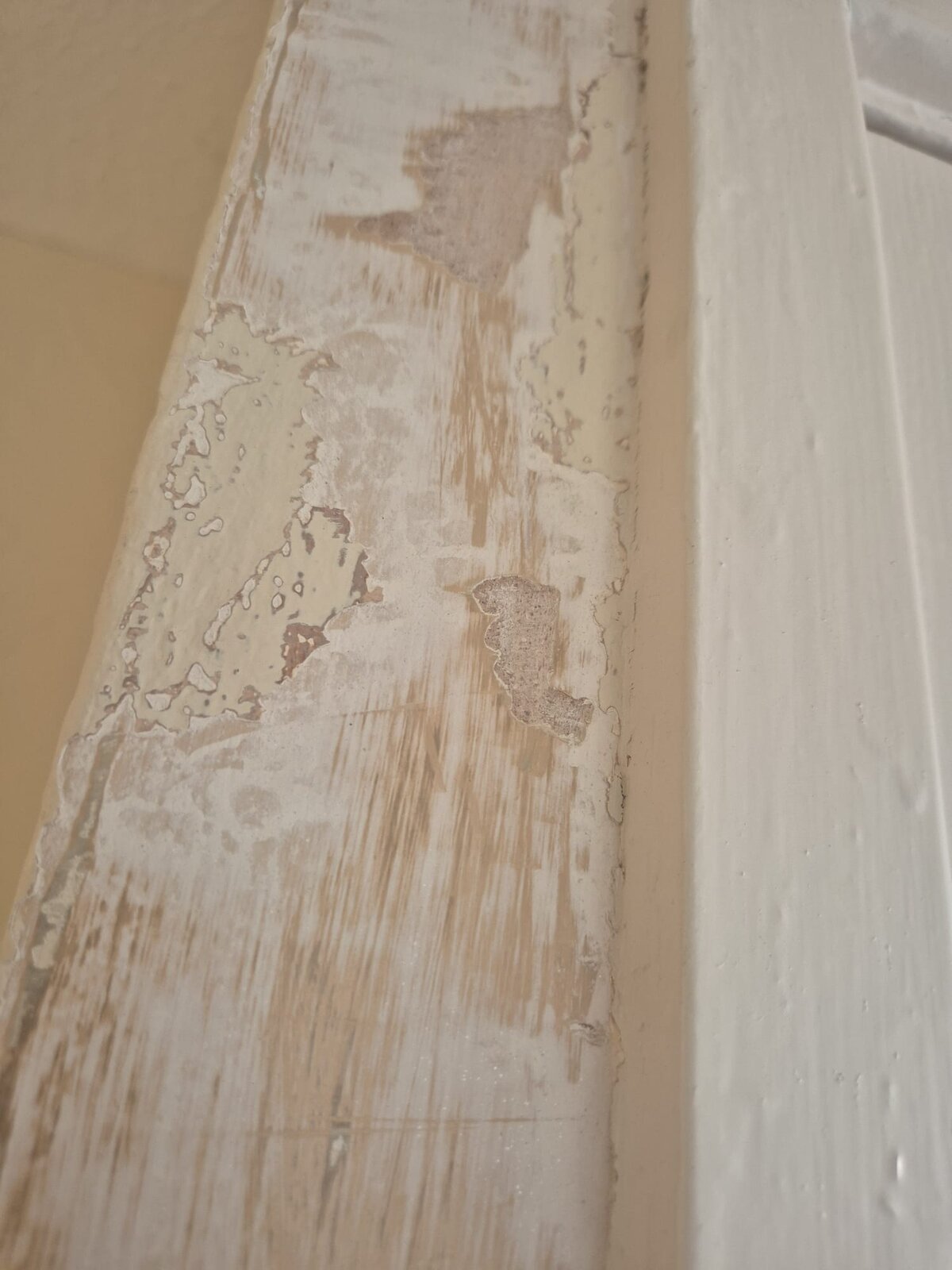 WhatsApp Image 2025-02-03 at 10.50.05_f80724c0.jpg