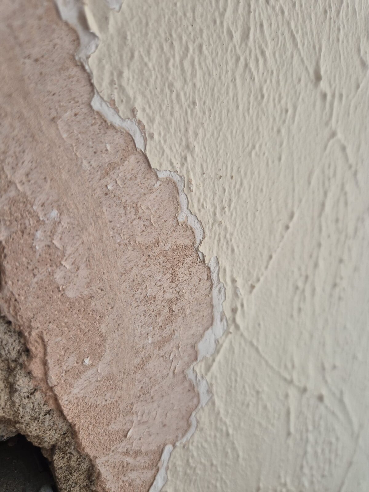 WhatsApp Image 2025-02-03 at 10.50.05_fefb480c.jpg