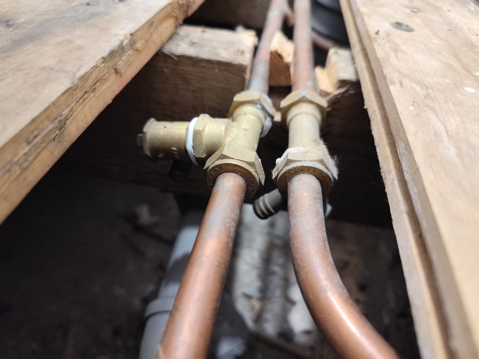 WhatsApp Image 2025-02-06 at 10.29.53 (1).jpeg