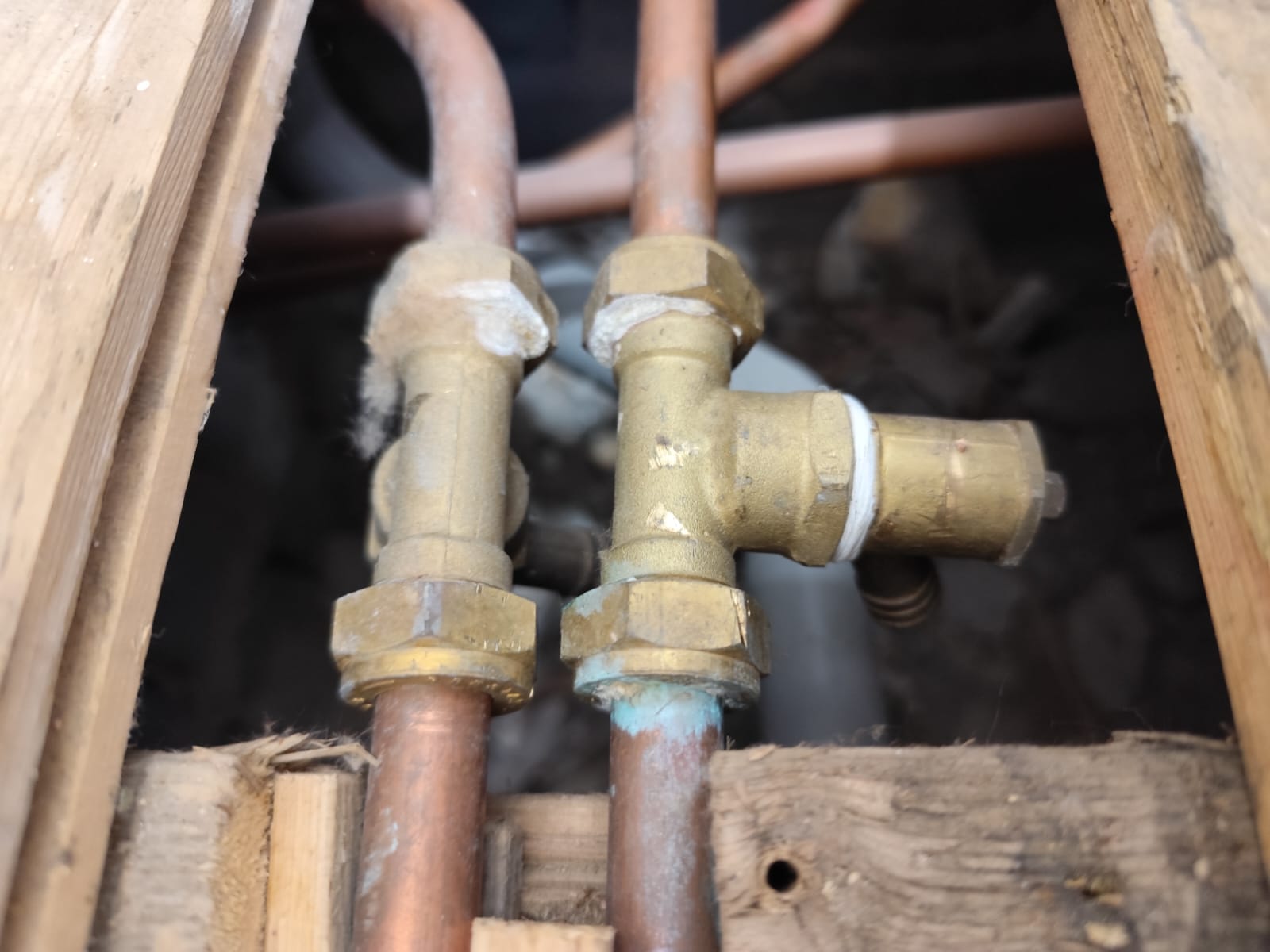 WhatsApp Image 2025-02-06 at 10.29.53 (2).jpeg