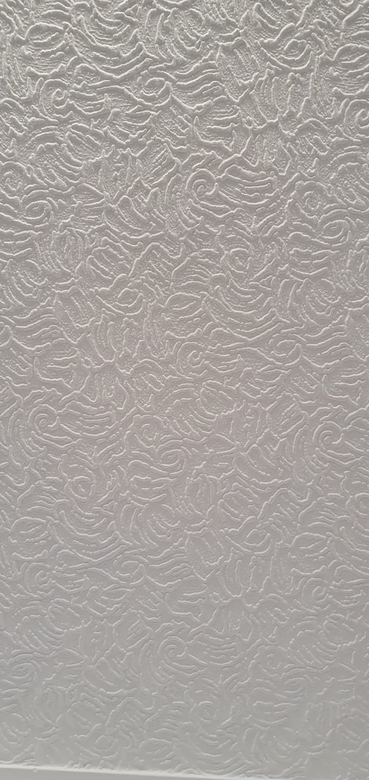 WhatsApp Image 2025-02-28 at 09.27.36_9283535e.jpg