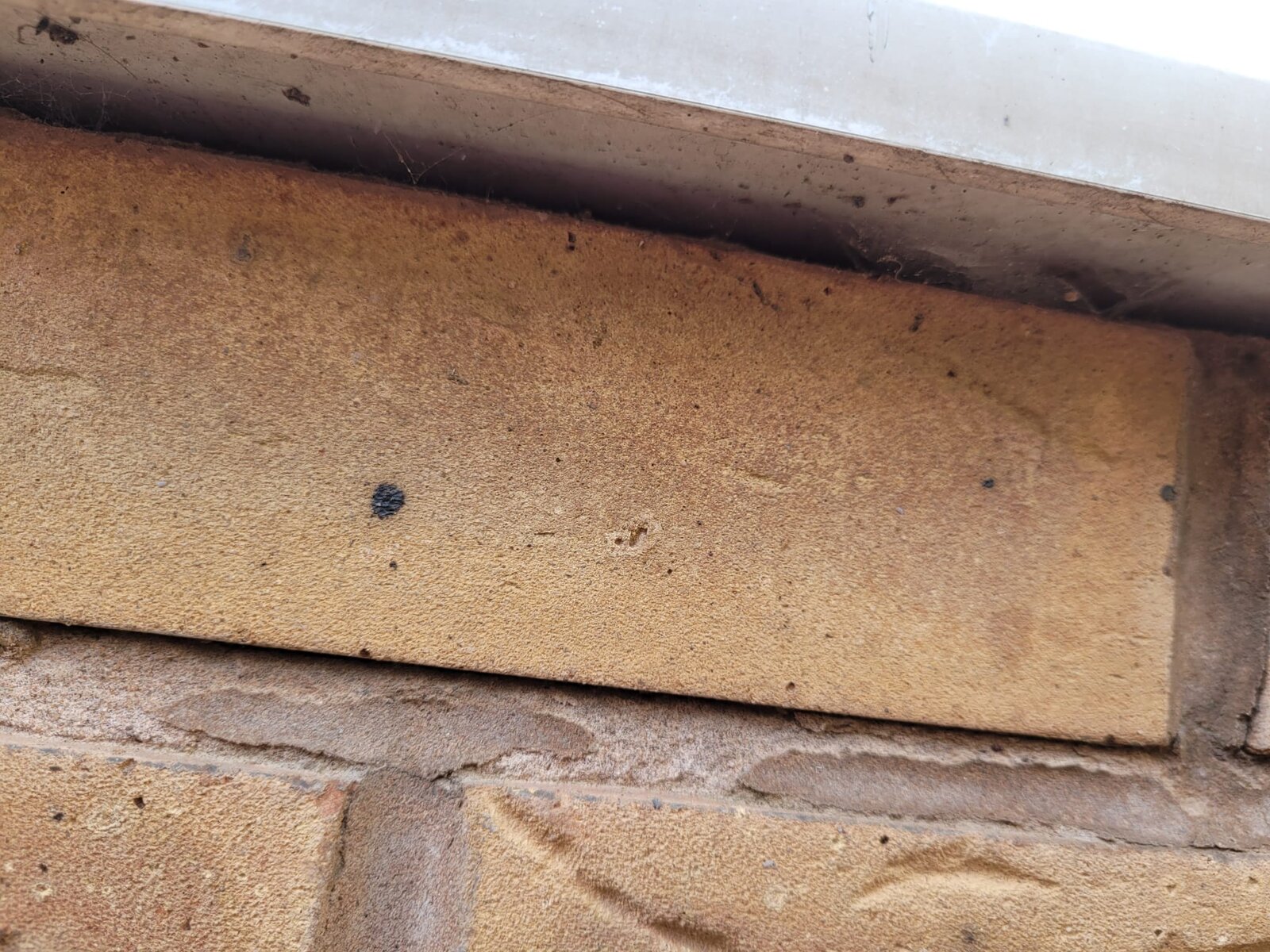 WhatsApp Image 2025-03-04 at 15.29.03 (2).jpeg