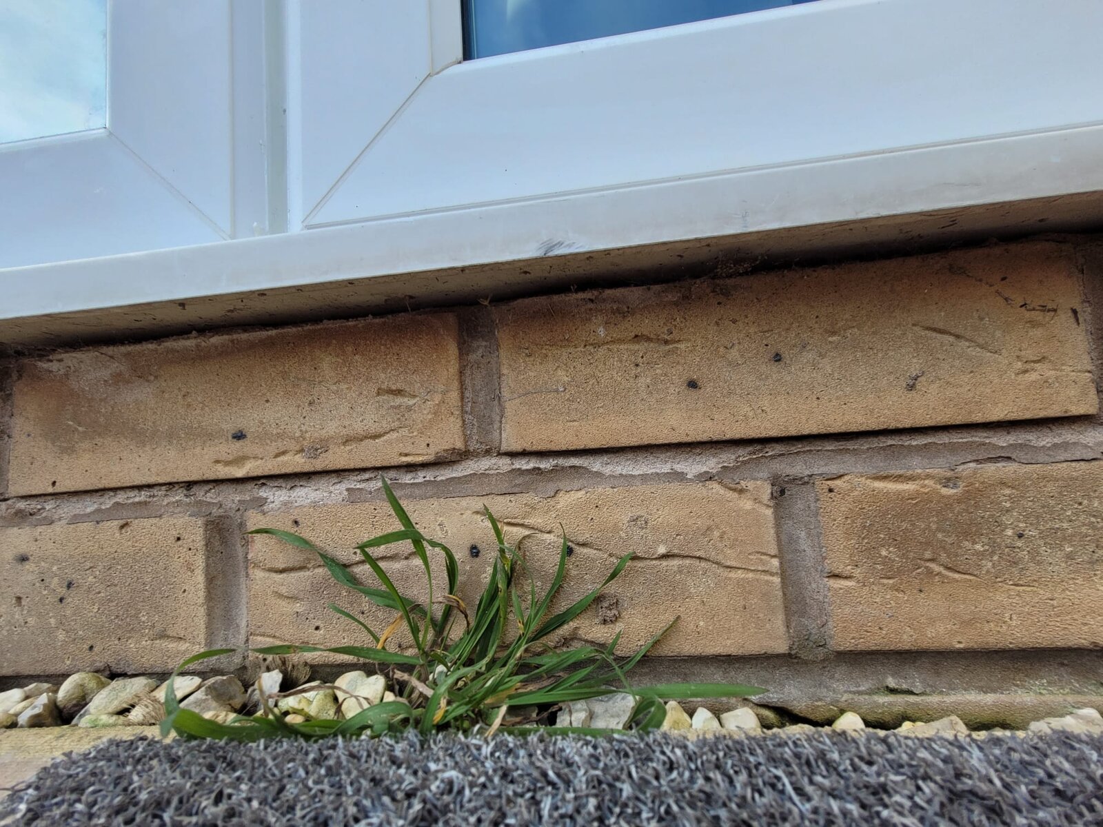 WhatsApp Image 2025-03-04 at 15.29.03 (4).jpeg