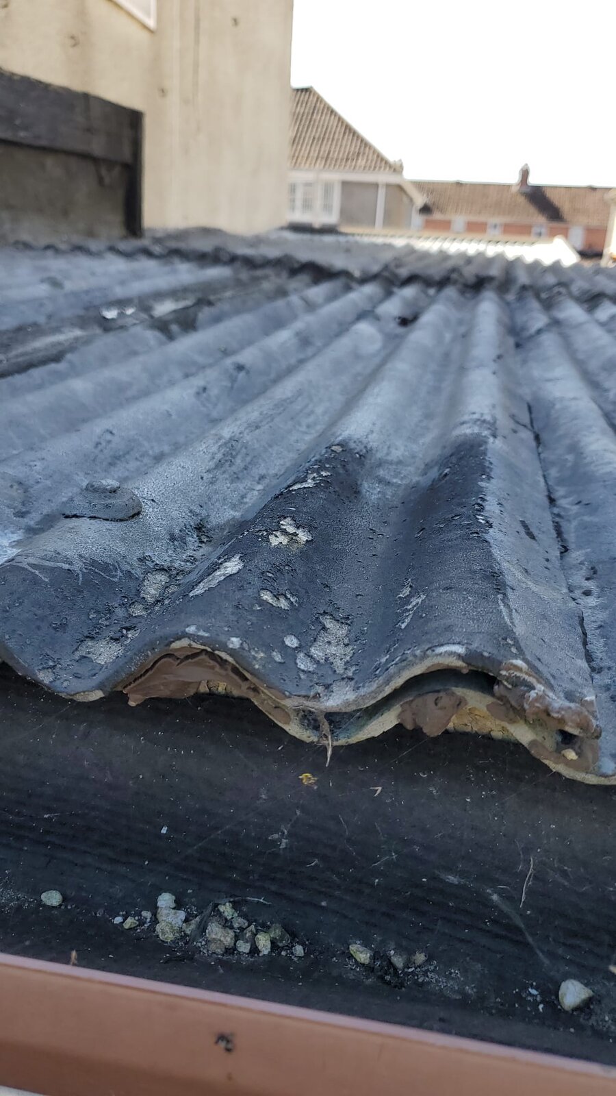 WhatsApp Image 2025-04-01 at 12.37.05_d9312c07.jpg