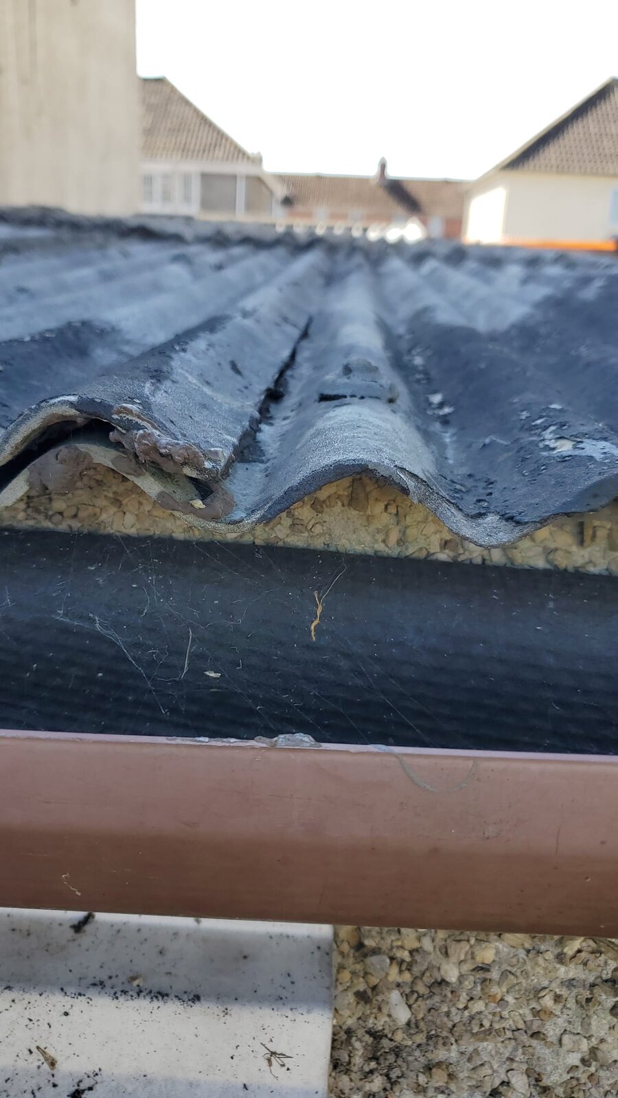 WhatsApp Image 2025-04-01 at 12.37.05_fd258776.jpg