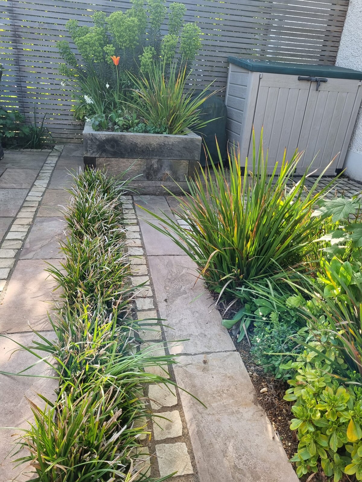 WhatsApp Image 2025-04-28 at 09.13.28_6e2cc439.jpg