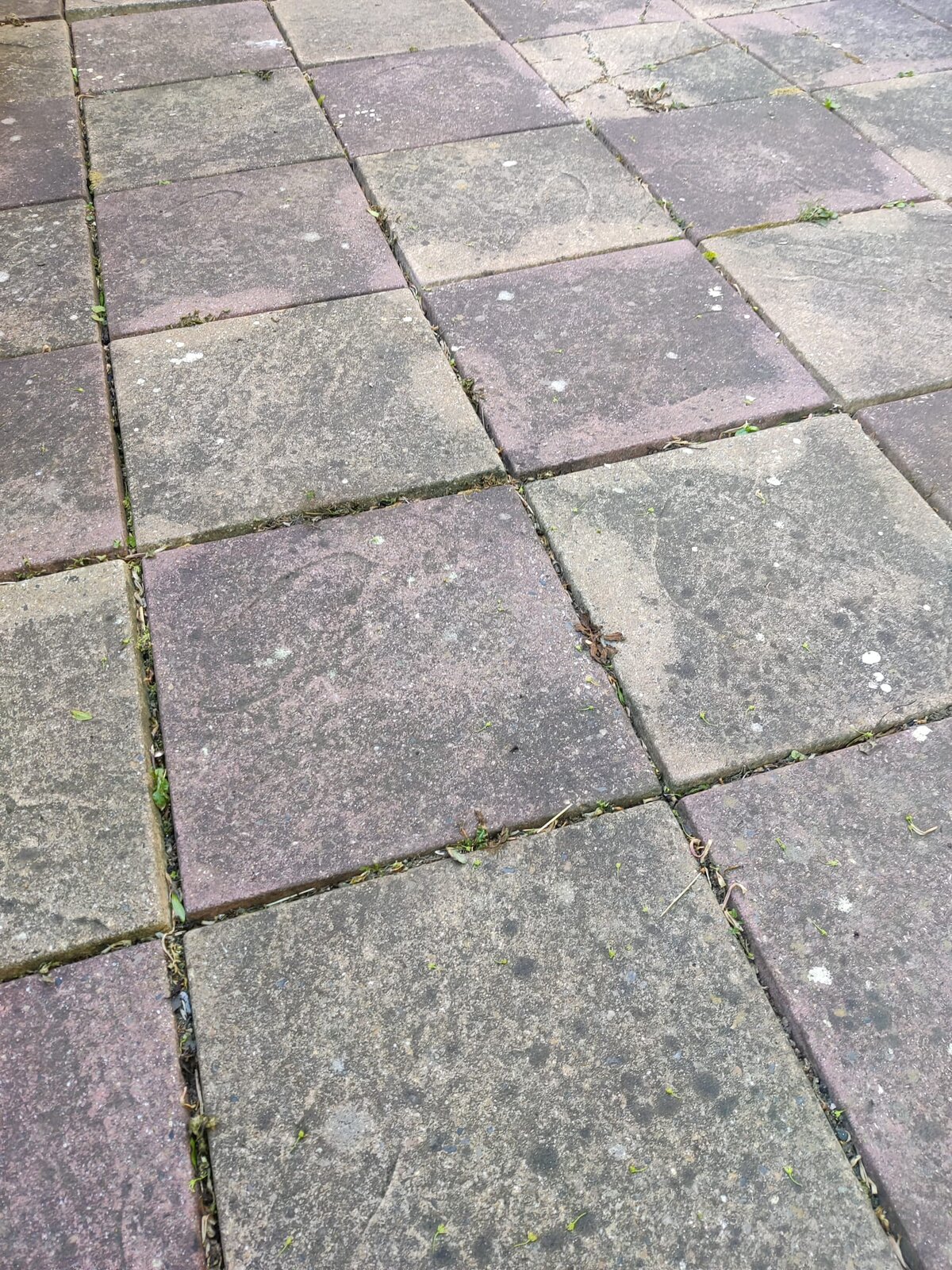 WhatsApp Image 2025-05-14 at 18.02.58.jpeg