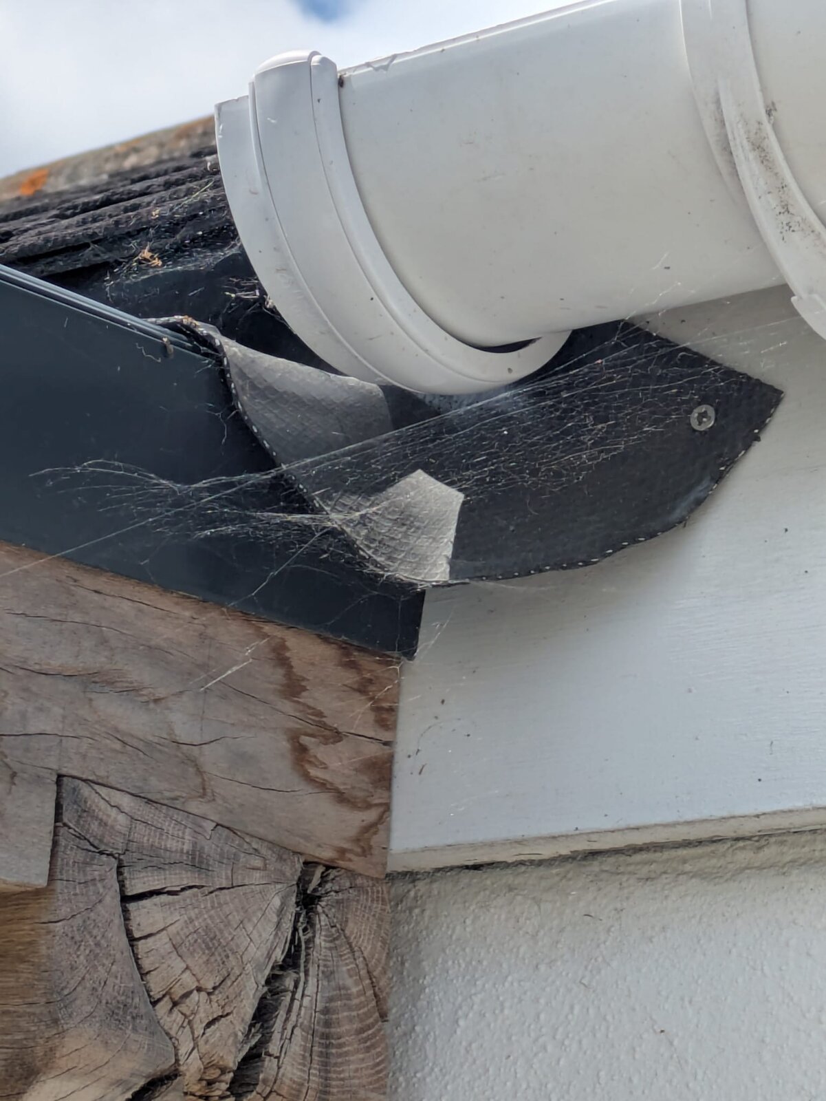 WhatsApp Image 2025-07-07 at 13.43.07.jpeg