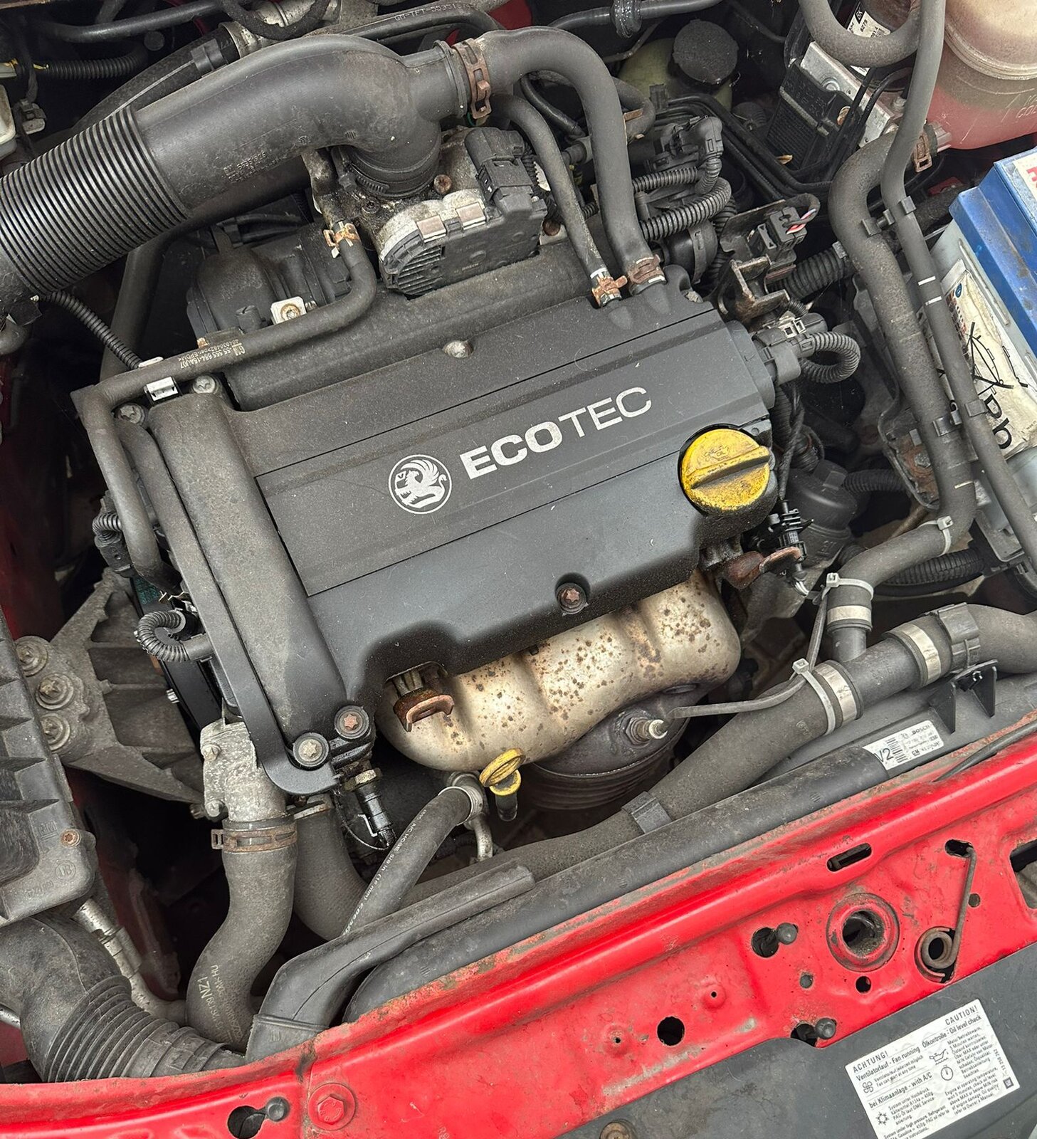 WhatsApp Image 2025-07-26 at 02.50.17.jpeg