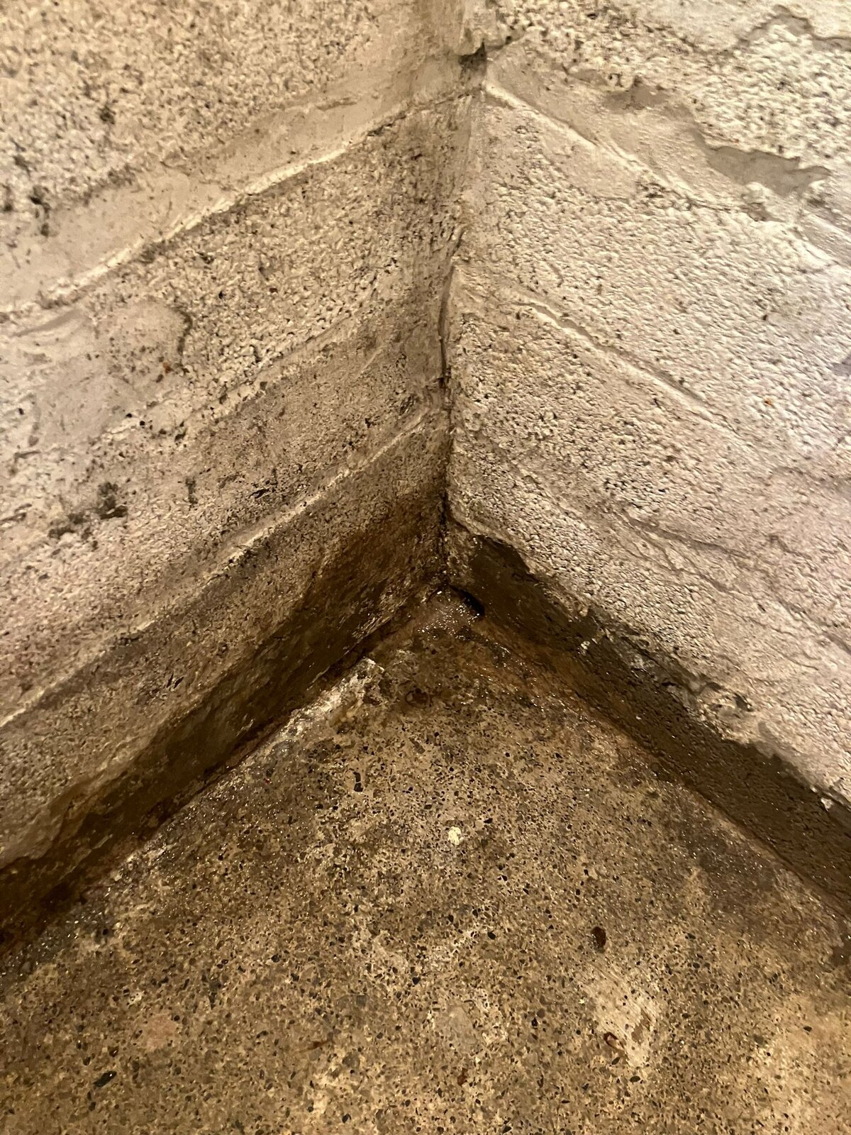 WhatsApp Image 2025-09-23 at 15.25.40 (7).jpeg