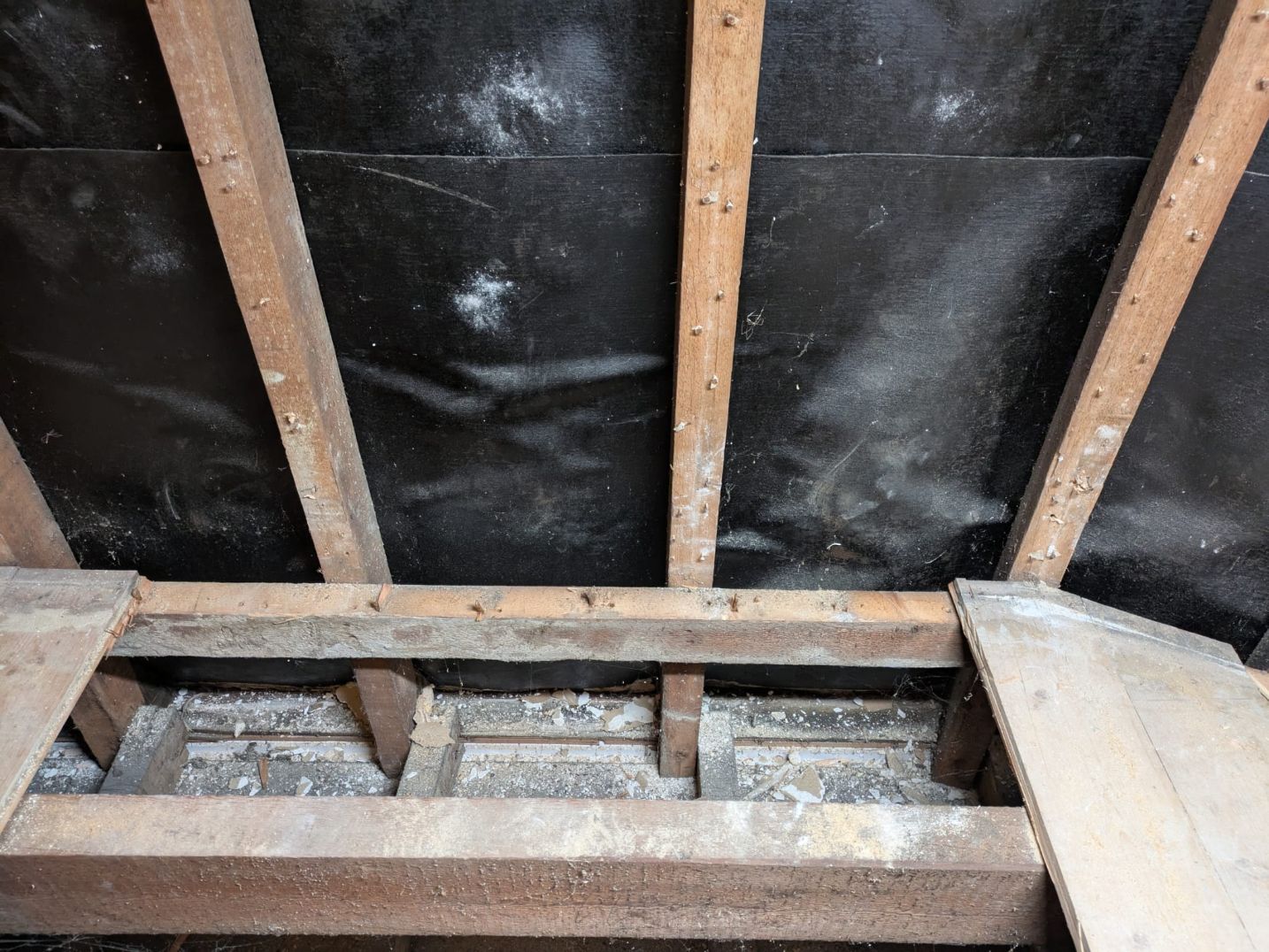 WhatsApp Image 2025-09-29 at 20.59.33 smaller (3).jpg