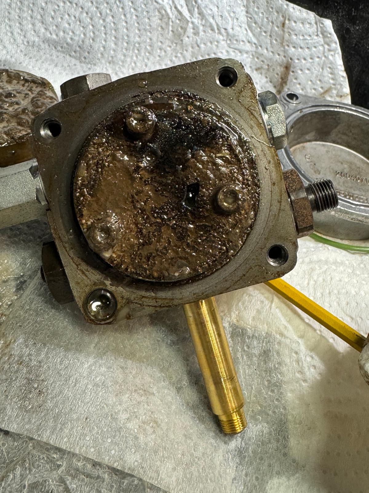 WhatsApp Image 2025-10-10 at 20.31.36_faec8fb5.jpg