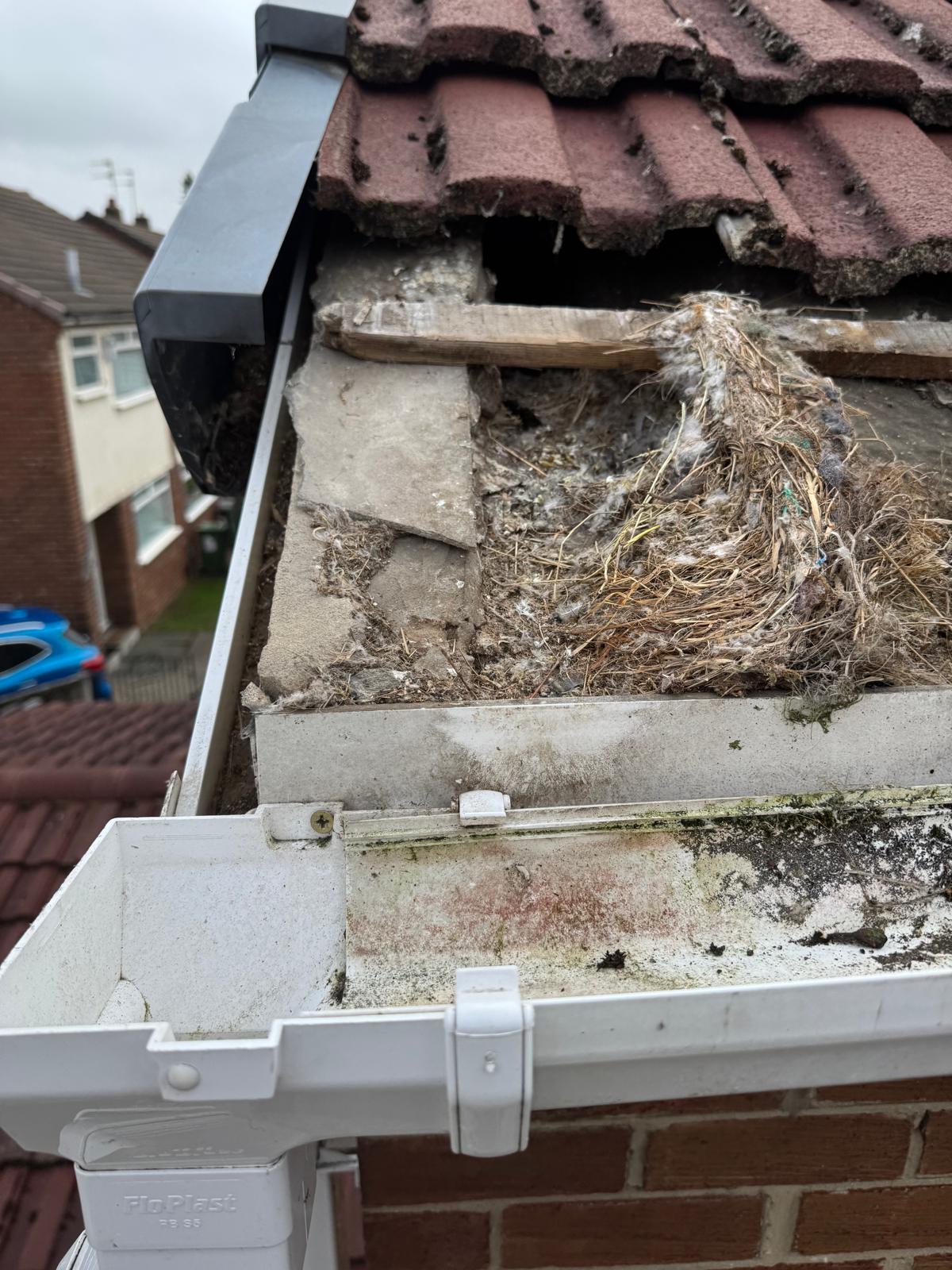 WhatsApp Image 2025-10-13 at 12.03.43.jpeg