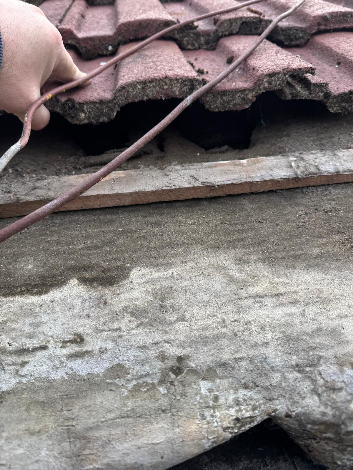 WhatsApp Image 2025-10-13 at 12.03.44 (10).jpeg