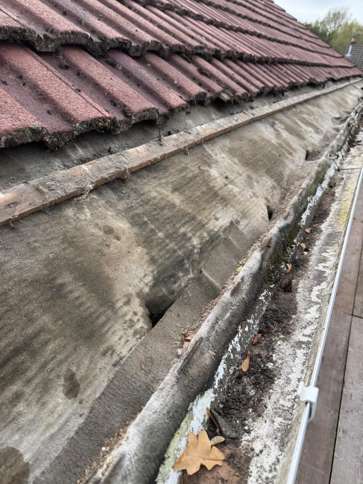 WhatsApp Image 2025-10-13 at 12.03.44 (19).jpeg