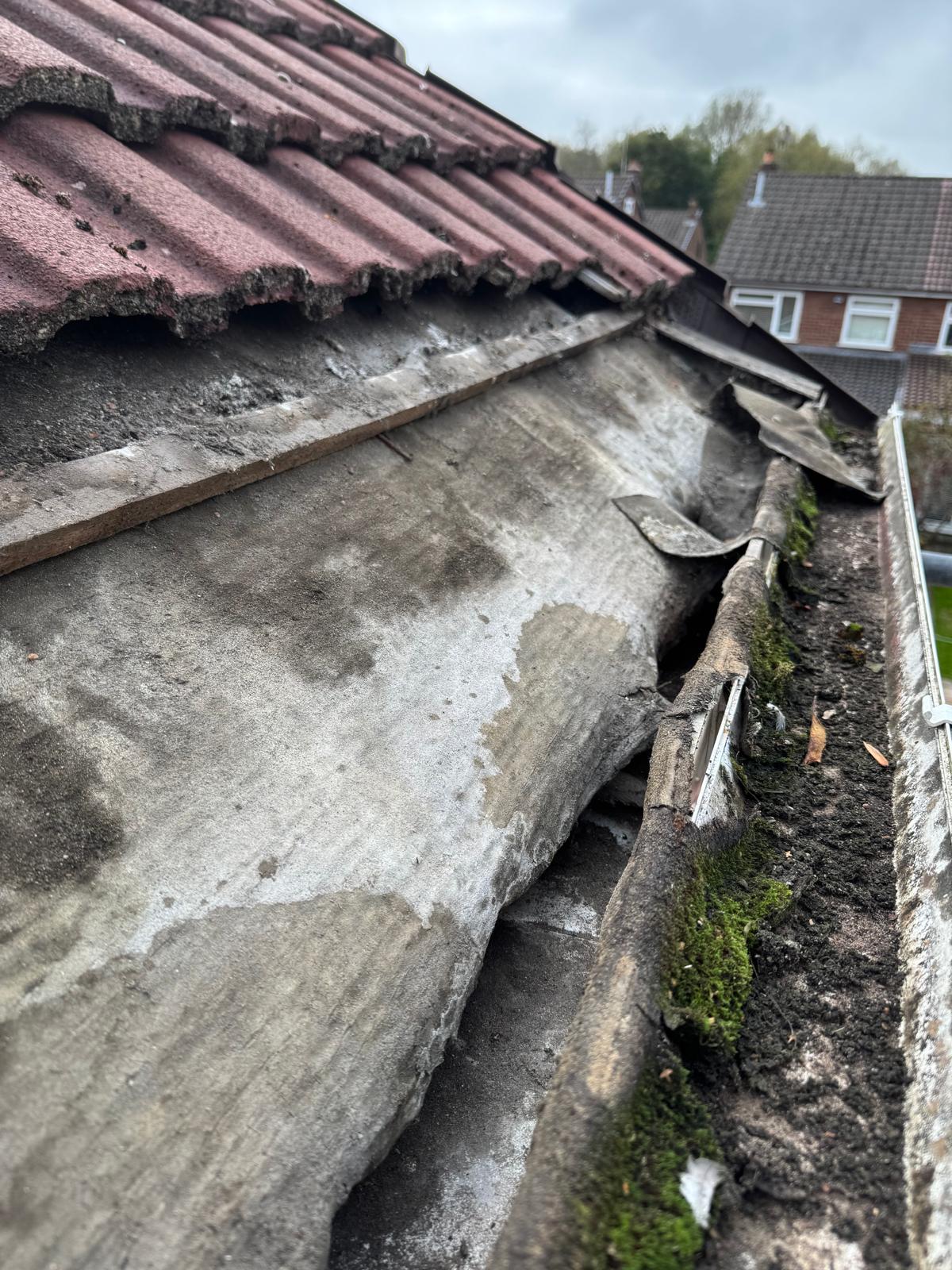 WhatsApp Image 2025-10-13 at 12.03.44 (4).jpeg