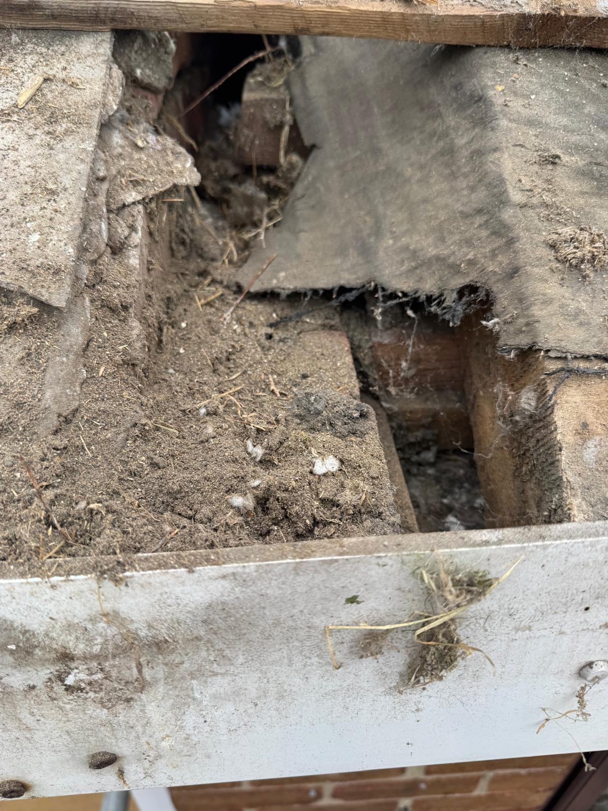 WhatsApp Image 2025-10-13 at 21.31.15 (16).jpeg