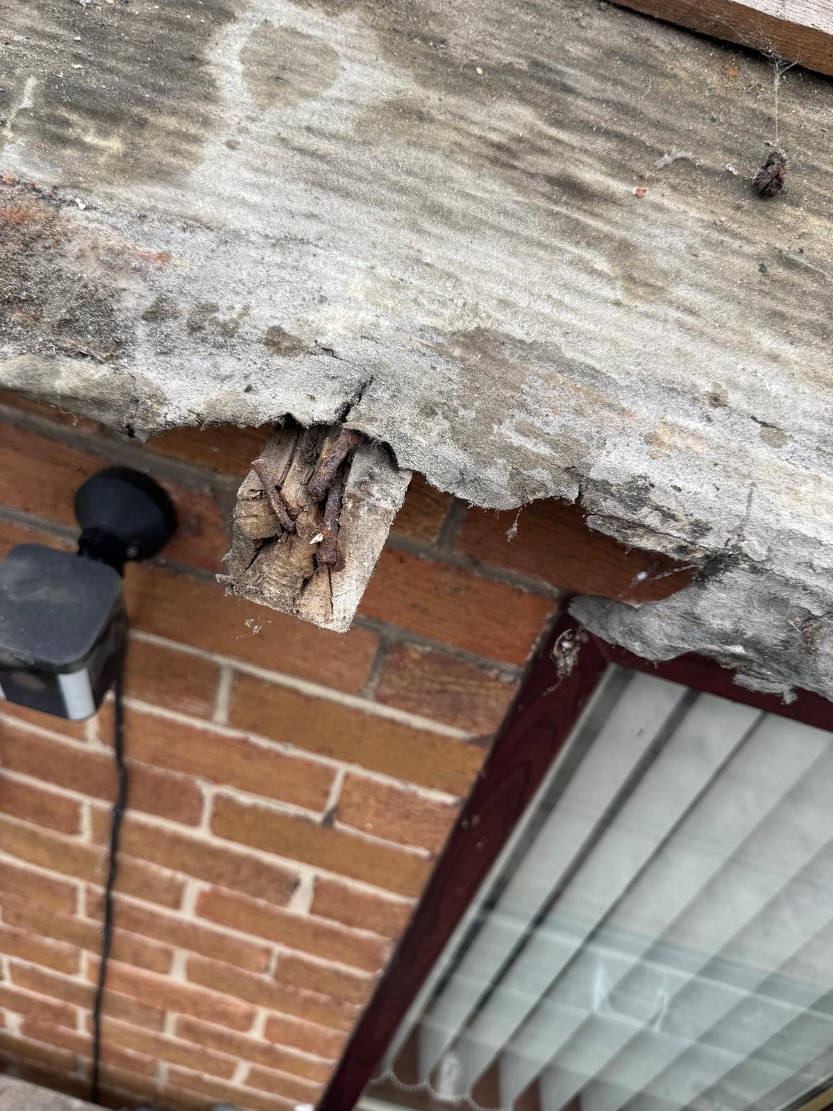 WhatsApp Image 2025-10-13 at 21.31.15 (2).jpeg