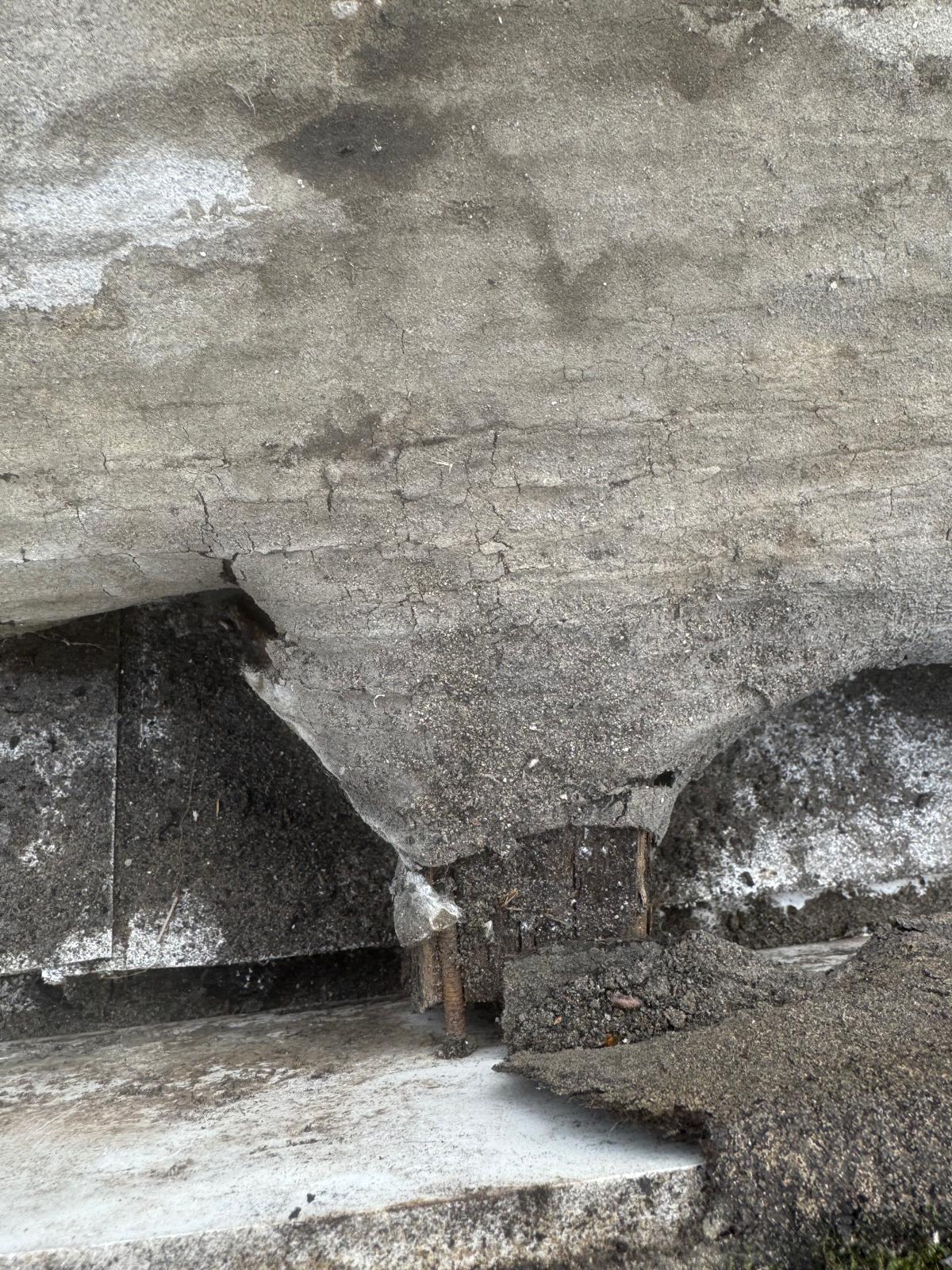 WhatsApp Image 2025-10-13 at 21.31.15 (24).jpeg