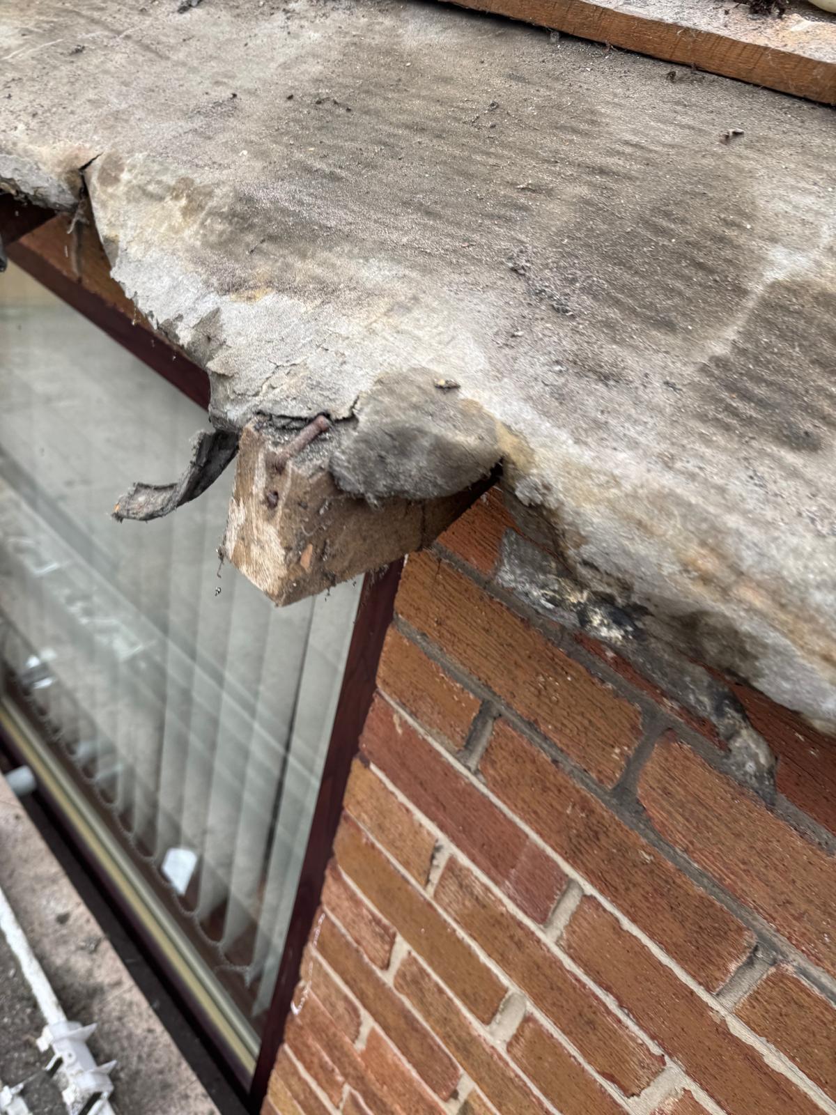 WhatsApp Image 2025-10-13 at 21.31.15.jpeg