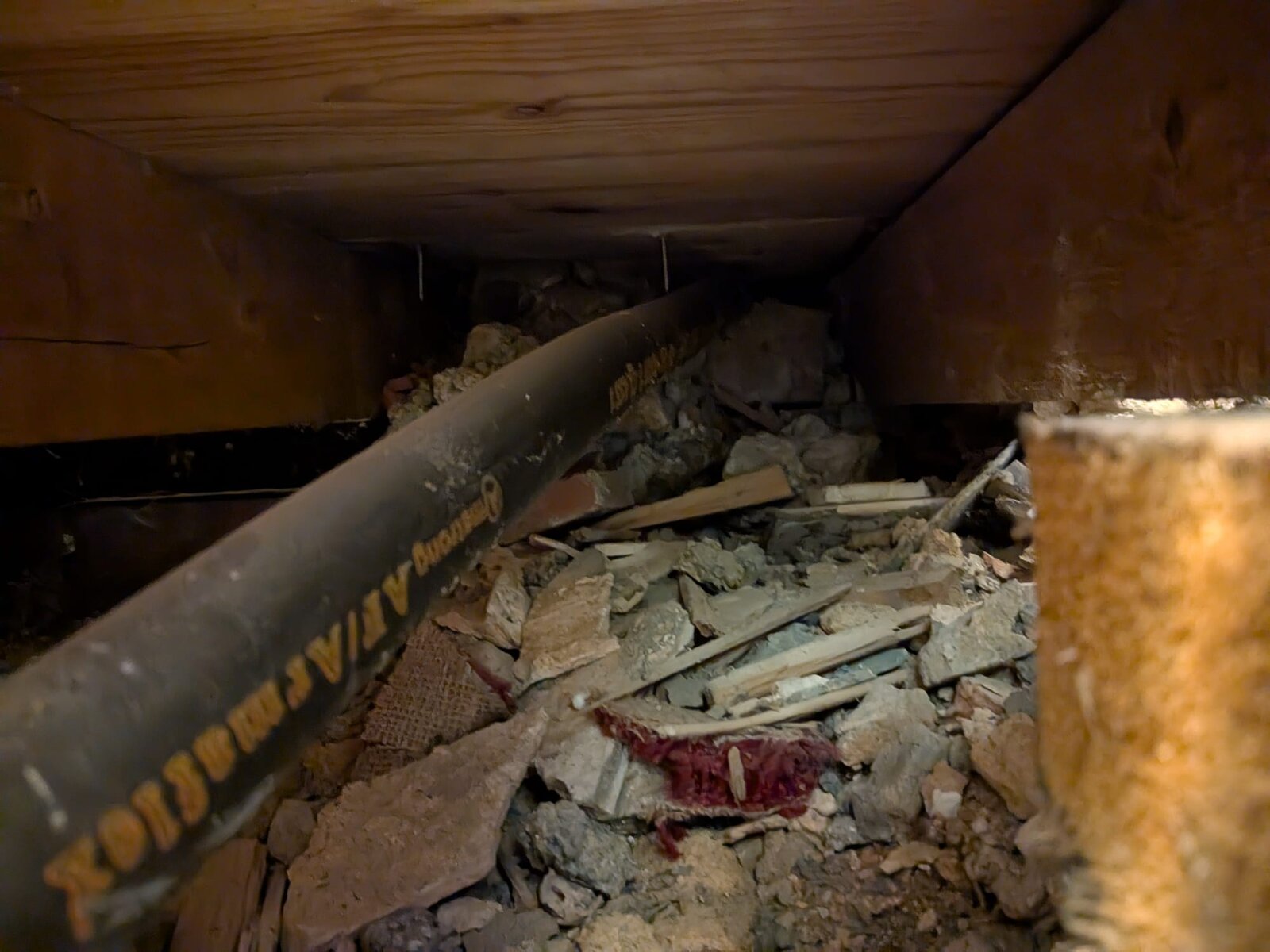 WhatsApp Image 2025-11-01 at 14.24.59.jpeg