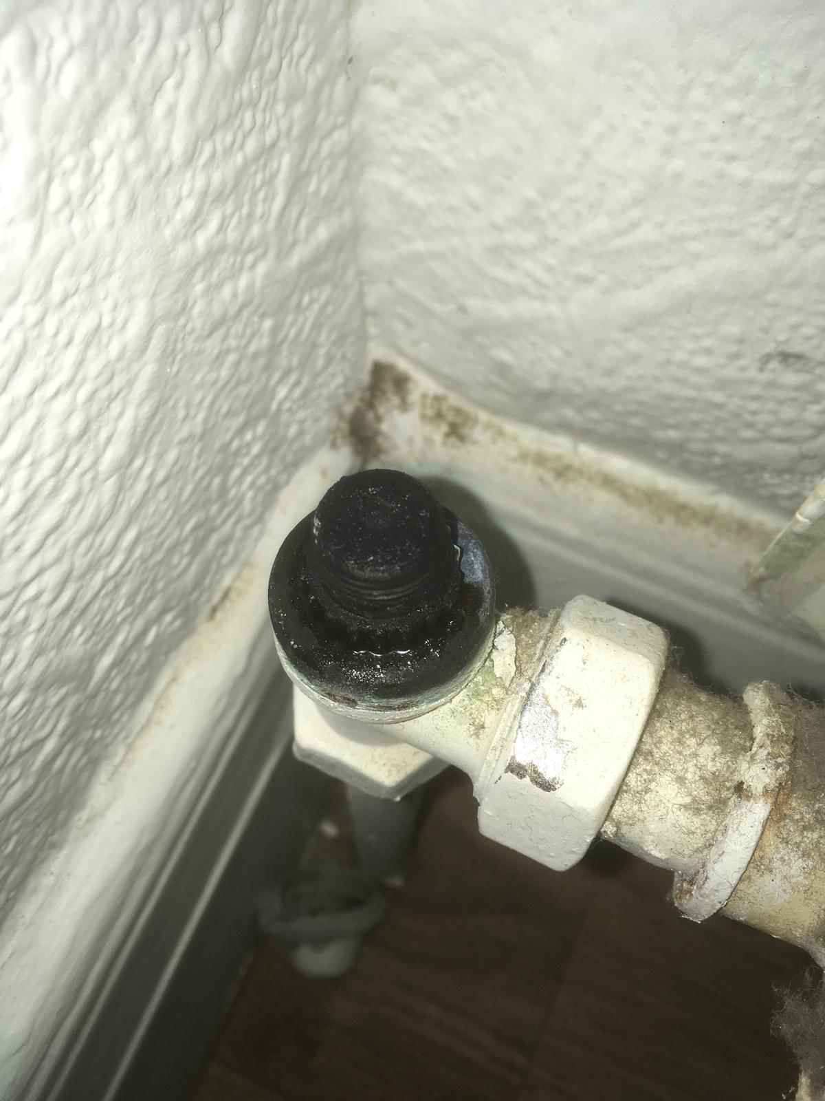 WhatsApp Image 2025-12-17 at 11.44.43.jpeg