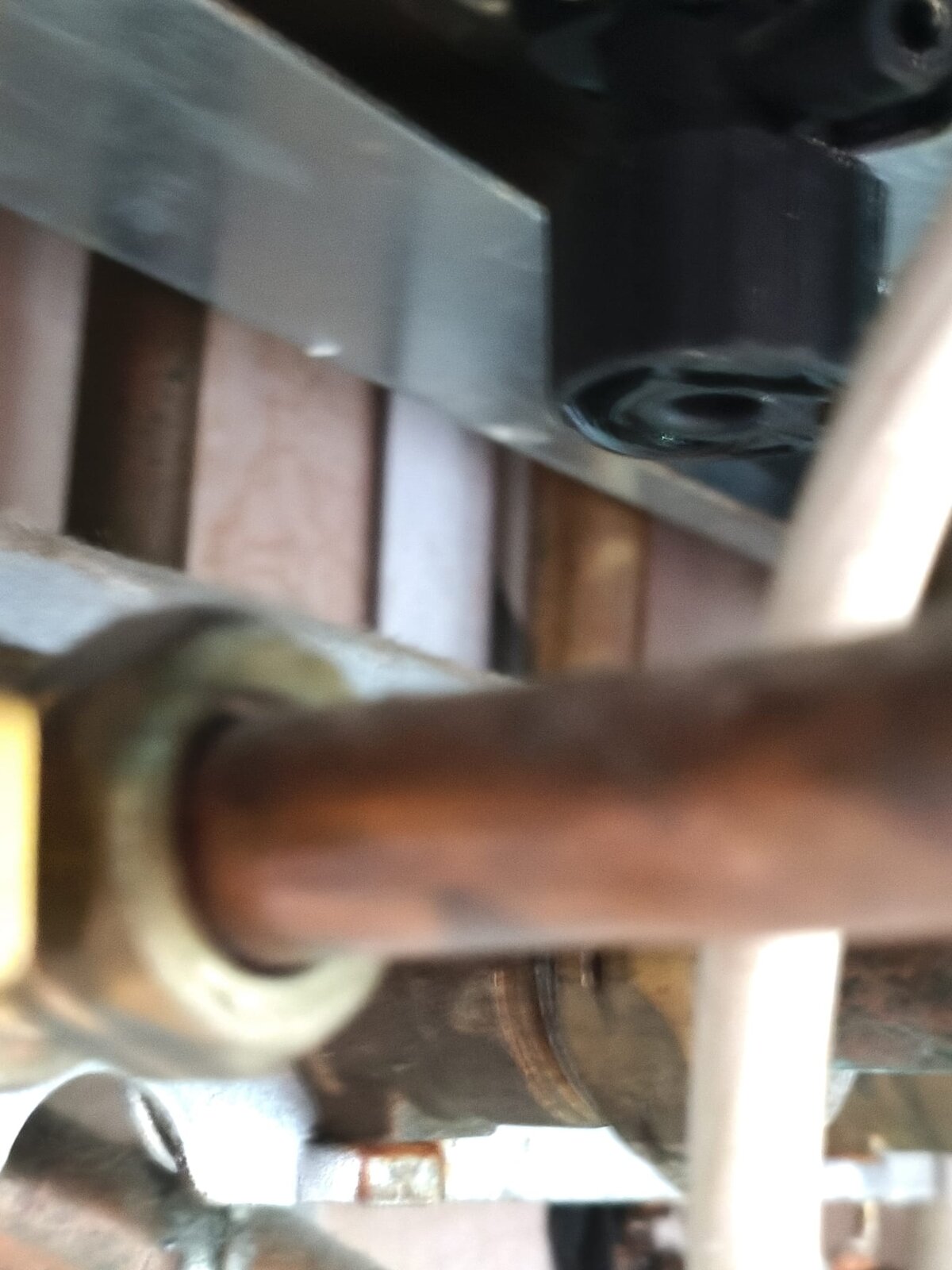 WhatsApp Image 2026-01-21 at 08.29.09.jpeg