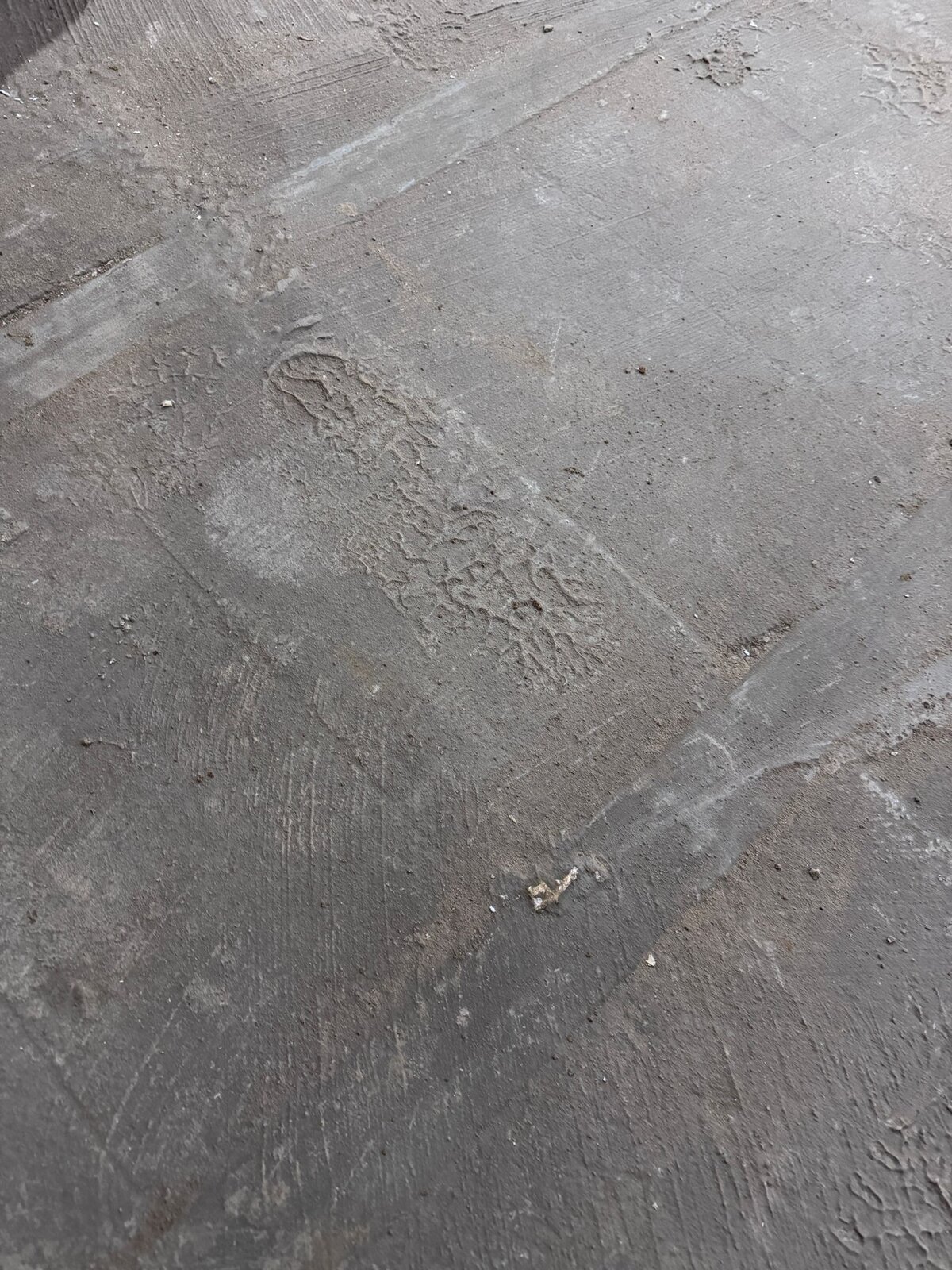 WhatsApp Image 2026-01-22 at 07.23.23_1.jpeg