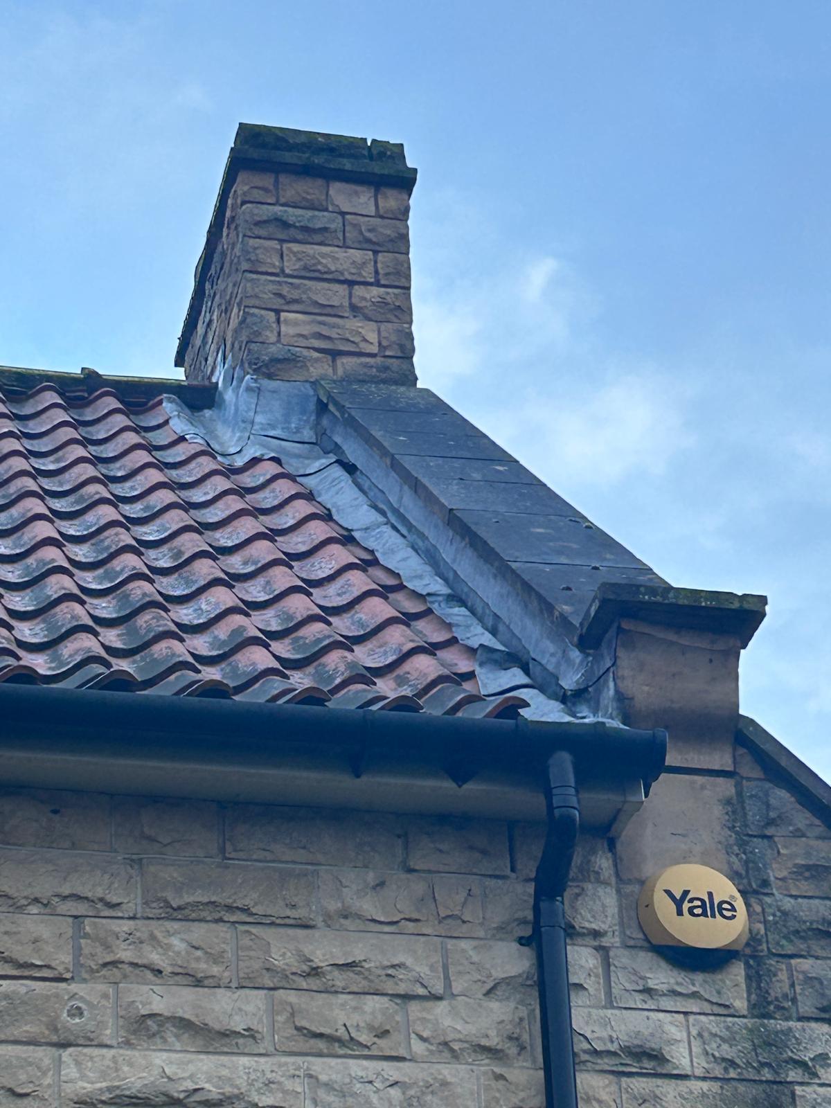 WhatsApp Image 2026-02-08 at 11.43.17 (4).jpeg