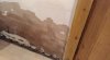 DAMP 3 300117.jpg