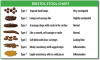 BristolStoolChart-1024x616.png