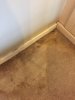 carpet_1.JPG