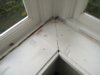 window sill 1.jpg