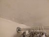 damp ceiling.jpg