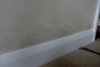 Damp 3.jpg