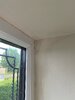 inside damp.jpg