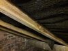 damp rafters 2.jpg