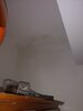 damp_ceiling.jpg