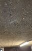 Garage Ceiling.jpeg