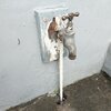Outside tap.jpg