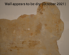 Oct 2021 Wall dry.fw.png