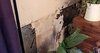 damp wall.jpg