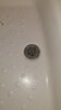 showerplug1.jpeg