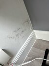 inside_wall_damp.jpeg