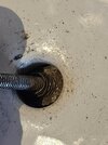 toilet screw.jpg