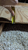 CURRENT BOARDING.jpg
