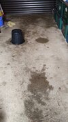 garage floor.jpg
