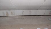 Loft Eaves - Plasterboard Mould 2.jpg