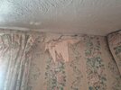 Crack on front wall bedroom between windo and corner.jpg