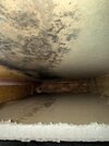 leak-in-shower-pipe-behind-wall-now-mould-what-to-do-v0-h8ivuotj2e2g1.jpg.jpg
